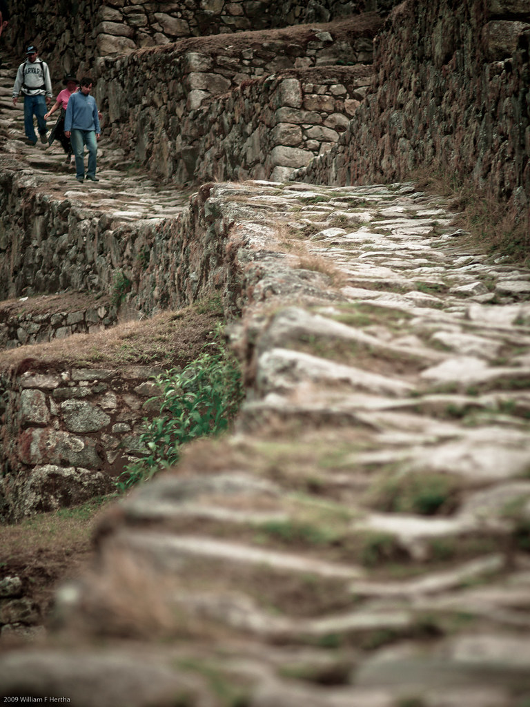 Walking along the Inca Trail