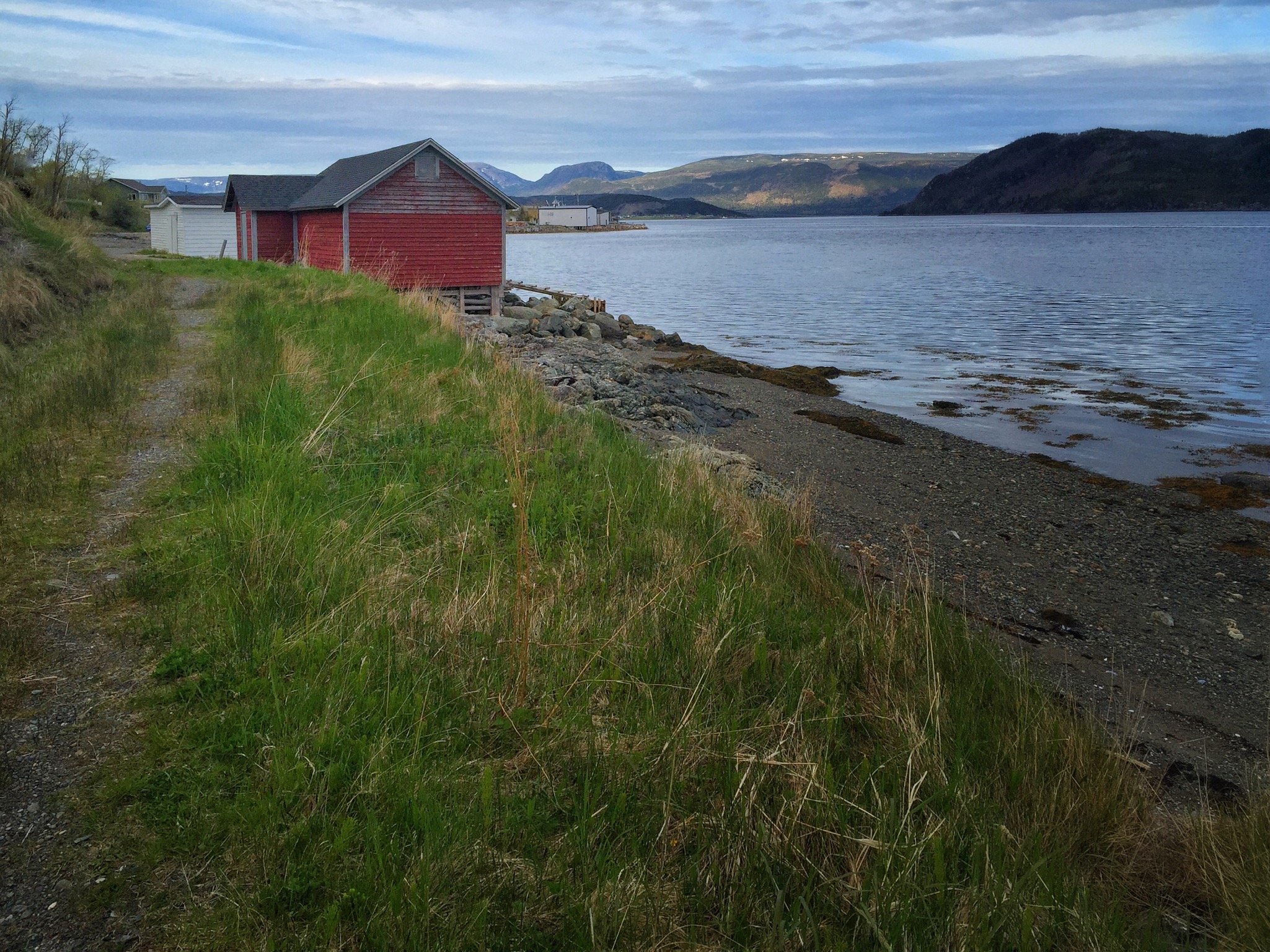 Shack on Edge of Woody Point