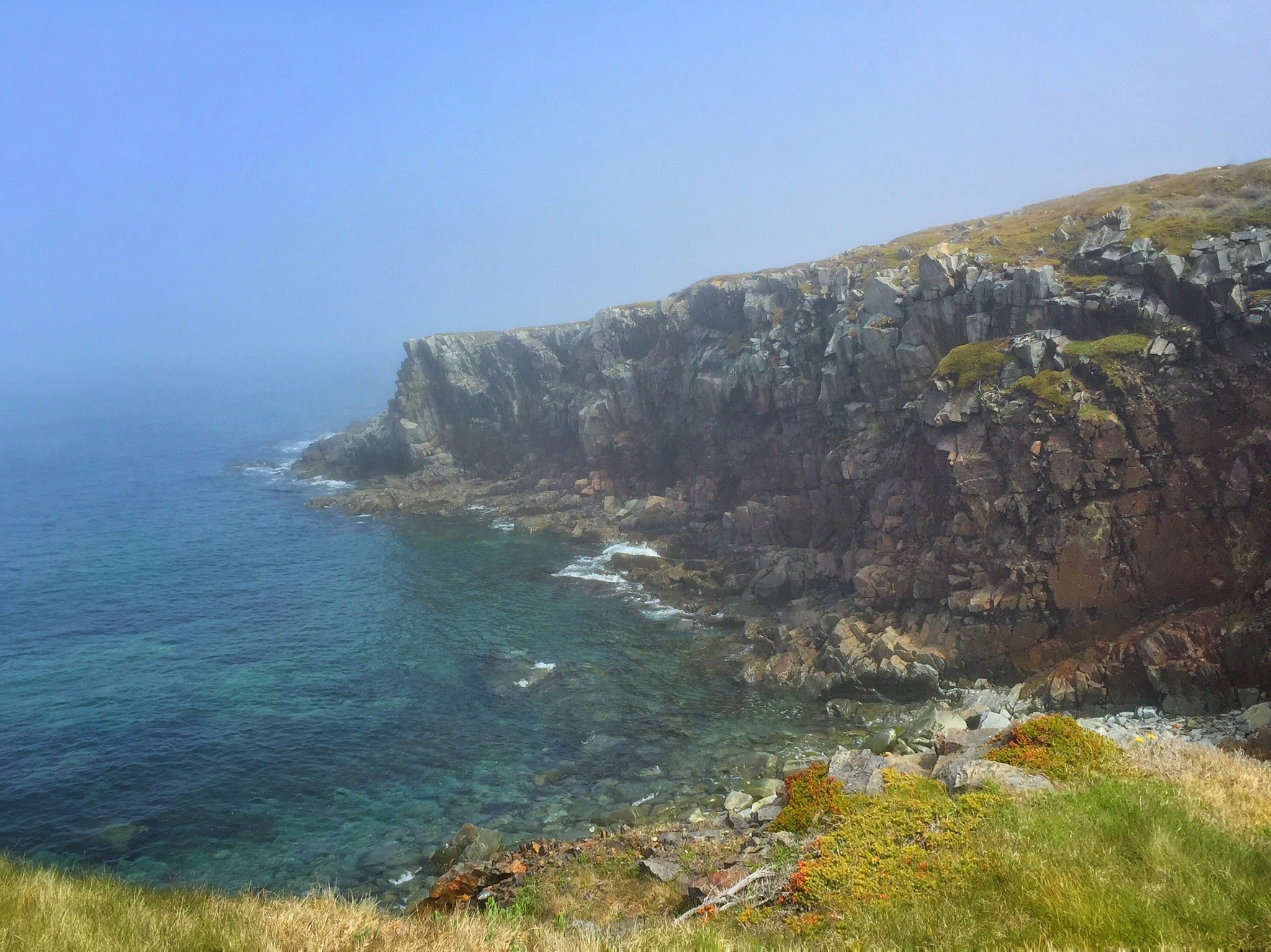 Island Home of the Puffins in Elliston