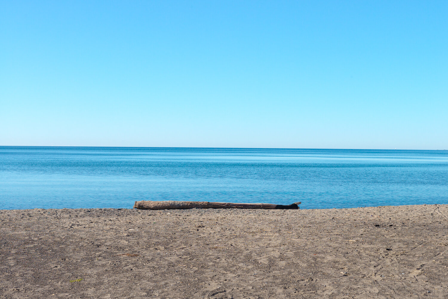 Lake, Log, BeachLeica M, Leica Noctilux-M 1:0.95/50, ISO 200, f/8.0, 1/500sec